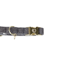 Collier pour chien Wool Kentucky Gris