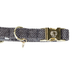 Collier pour chien Wool Kentucky Gris