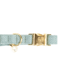 Collier pour chien Wool Kentucky Bleu clair