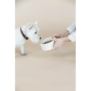 Gamelle pour chien en pierre Terrazzo Kentucky Gamelle pour chien en pierre Terrazzo Kentucky