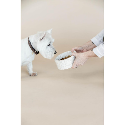 Gamelle pour chien en pierre Terrazzo Kentucky Beige