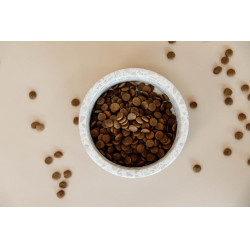 Gamelle pour chien en pierre Terrazzo Kentucky Beige Gamelle pour chien en pierre Terrazzo Kentucky Beige