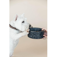 Gamelle pour chien en pierre Terrazzo Kentucky Beige Gamelle pour chien en pierre Terrazzo Kentucky Beige