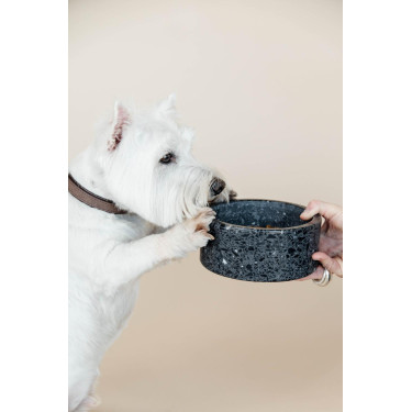 Gamelle pour chien en pierre Terrazzo Kentucky Noir