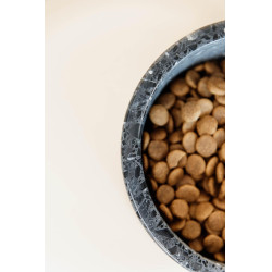 Gamelle pour chien en pierre Terrazzo Kentucky Noir