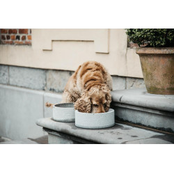 Gamelle pour chien Granit Kentucky