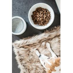 Gamelle pour chien Granit Kentucky Gris Gamelle pour chien Granit Kentucky Gris