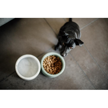Gamelle pour chien Marbre Kentucky Gamelle pour chien Marbre Kentucky