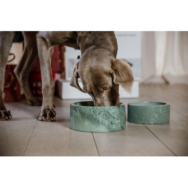 Gamelle pour chien Marbre Kentucky Vert sapin