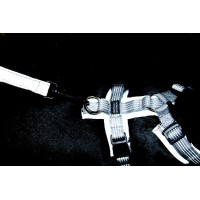 Harnais pour chien Active Reflective Kentucky Argent