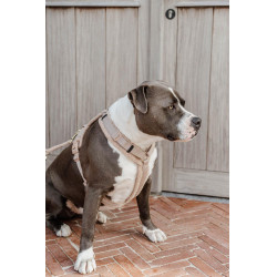 Harnais pour chien Active Teddy Fleece Kentucky Beige Harnais pour chien Active Teddy Fleece Kentucky Beige