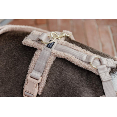 Harnais pour chien Active Teddy Fleece Kentucky Beige Harnais pour chien Active Teddy Fleece Kentucky Beige