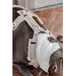 Harnais pour chien Active Teddy Fleece Kentucky Beige Harnais pour chien Active Teddy Fleece Kentucky Beige