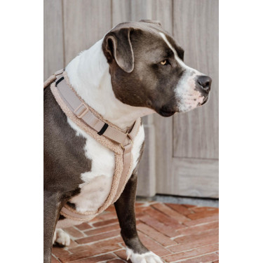 Harnais pour chien Active Teddy Fleece Kentucky Beige Harnais pour chien Active Teddy Fleece Kentucky Beige