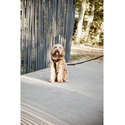 Harnais pour chien Active Velvet Kentucky Noir