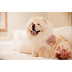 Harnais pour chien Body Safe Wool Kentucky Rose clair
