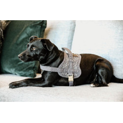 Harnais pour chien Body Safe Wool Kentucky Gris