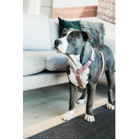 Harnais pour chien Velvet Loop Kentucky Vieux rose Harnais pour chien Velvet Loop Kentucky Vieux rose