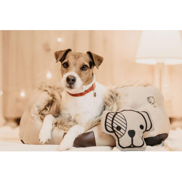 Jouet pour chien Dog-Head Kentucky Jouet pour chien Dog-Head Kentucky