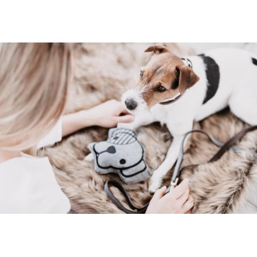 Jouet pour chien Dog-Head Kentucky Jouet pour chien Dog-Head Kentucky