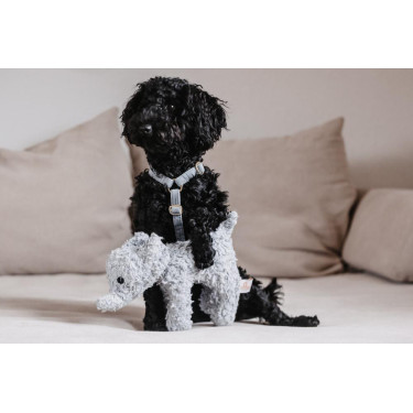 Jouet pour chien Eléphant Elsa Kentucky Jouet pour chien Eléphant Elsa Kentucky