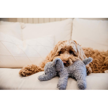 Jouet pour chien Eléphant Elsa Kentucky Jouet pour chien Eléphant Elsa Kentucky