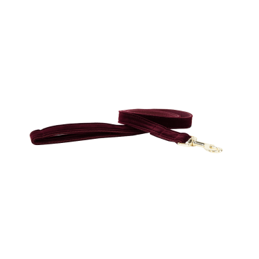 Laisse pour chien Corduroy Kentucky Laisse pour chien Corduroy Kentucky