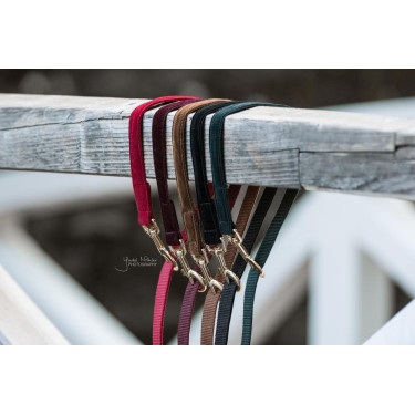 Laisse pour chien Corduroy Kentucky Laisse pour chien Corduroy Kentucky