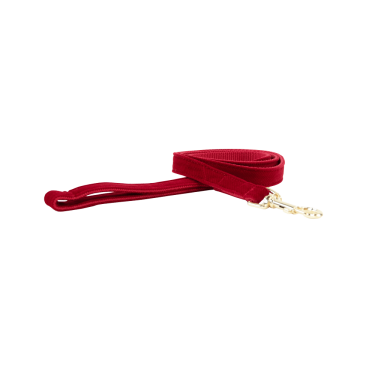 Laisse pour chien Corduroy Kentucky Laisse pour chien Corduroy Kentucky
