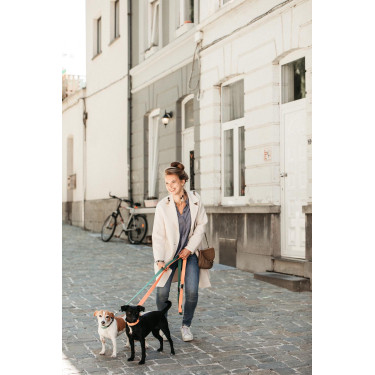 Laisse pour chien Jacquard Kentucky Laisse pour chien Jacquard Kentucky