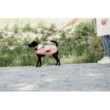 Laisse pour chien Jacquard Kentucky Terracotta Orange Laisse pour chien Jacquard Kentucky Terracotta Orange