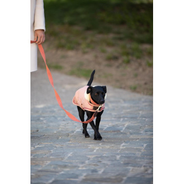 Laisse pour chien Jacquard Kentucky Terracotta Orange Laisse pour chien Jacquard Kentucky Terracotta Orange