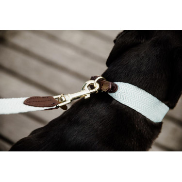Laisse pour chien Jacquard Kentucky Bleu clair