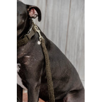 Laisse pour chien Teddy Fleece 120 cm Kentucky Vert sapin