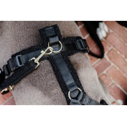 Laisse pour chien Teddy Fleece 120 cm Kentucky Noir