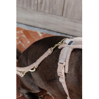 Laisse pour chien Teddy Fleece 200 cm Kentucky Vert sapin