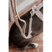 Laisse pour chien Teddy Fleece 200 cm Kentucky Vert sapin