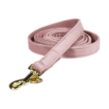 Laisse pour chien Velvet 120 cm Kentucky Vieux rose