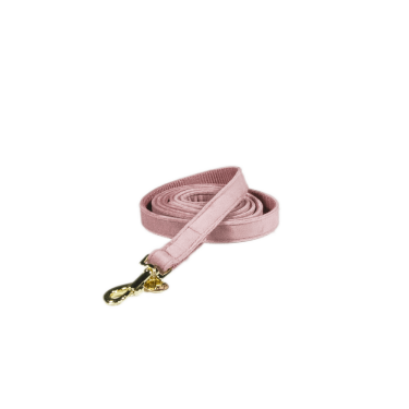 Laisse pour chien Velvet 120 cm Kentucky Laisse pour chien Velvet 120 cm Kentucky