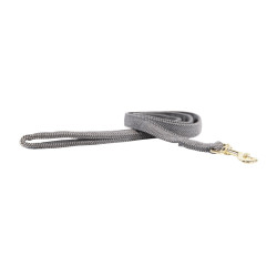 Laisse pour chien Wool Courte Kentucky Gris