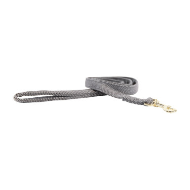 Laisse pour chien Wool Courte Kentucky Gris