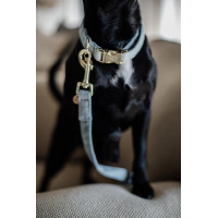 Laisse pour chien Wool Longue Kentucky Bleu clair Laisse pour chien Wool Longue Kentucky Bleu clair