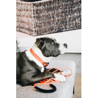 Laisse Soft Rubber Kentucky Neon orange Laisse Soft Rubber Kentucky Neon orange