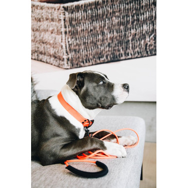Laisse Soft Rubber Kentucky Neon orange