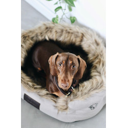 Lit pour chien Cave Kentucky Brun Marron