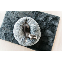 Lit pour chien confort Donut Kentucky Gris Lit pour chien confort Donut Kentucky Gris