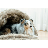 Lit pour chien Igloo Kentucky Brun Marron