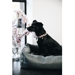 Lit pour chien Soft Sleep Kentucky Gris Lit pour chien Soft Sleep Kentucky Gris