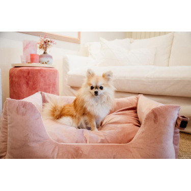 Lit pour chien Velvet Kentucky Vieux rose Lit pour chien Velvet Kentucky Vieux rose