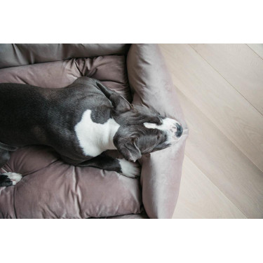 Lit pour chien Velvet Kentucky Lit pour chien Velvet Kentucky
